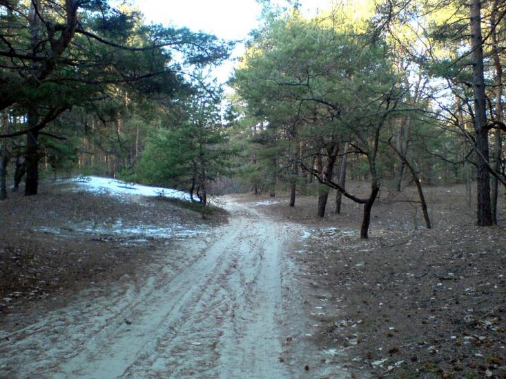 Усть-Лип'янка з panoramio.com - Усть-Липянка