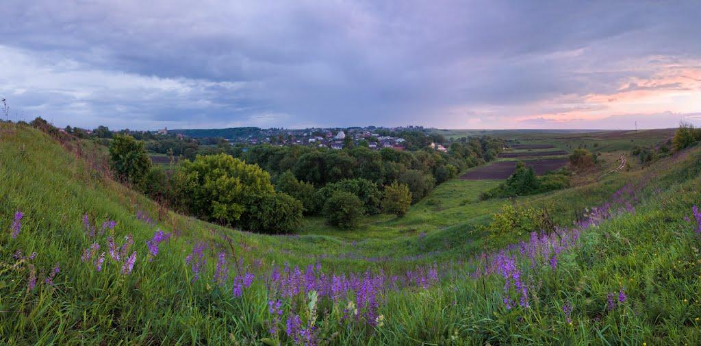 Мишковичі з panoramio.com - Мышковичи