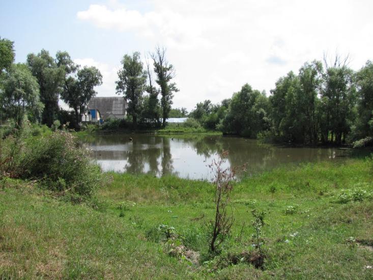 Велика Димерка з panoramio.com - Великая Дымерка