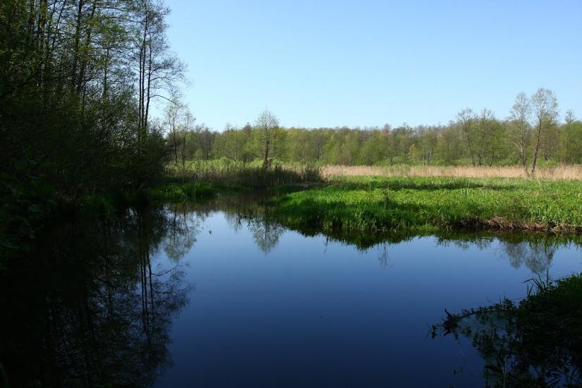 Мигалки з panoramio.com - Мигалки