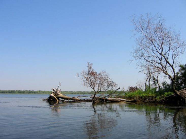 Кривуші з panoramio.com - Кривуши