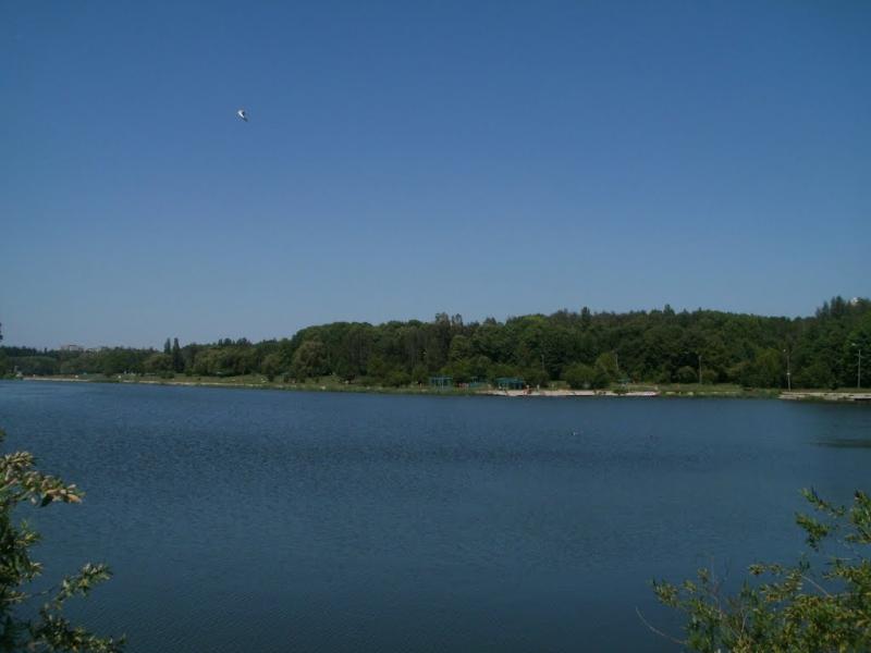 Прибузьке з panoramio.com - Прибугское