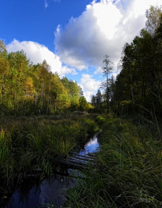Гута-Ткачова з panoramio.com - Гута-Ткачева