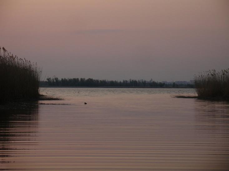 Солонці з panoramio.com - Солонцы