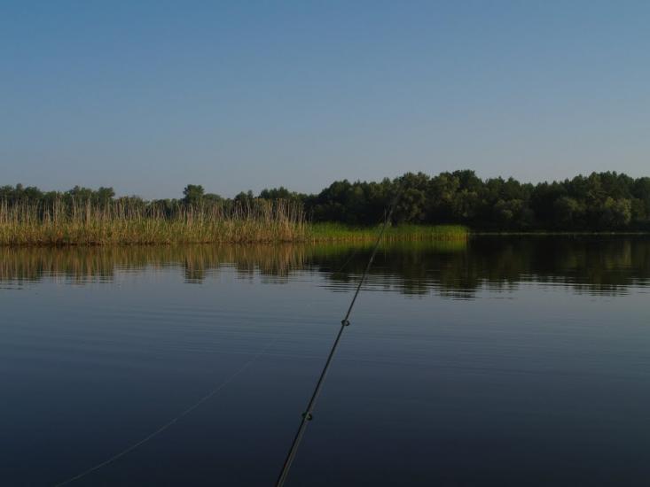 Шабельники з panoramio.com - Шабельники