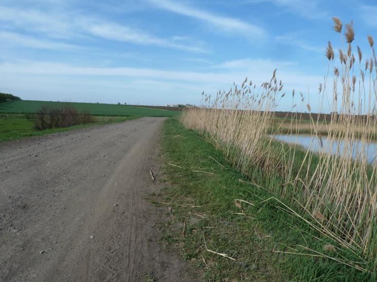 Володимирівка з panoramio.com - Volodymyrivka