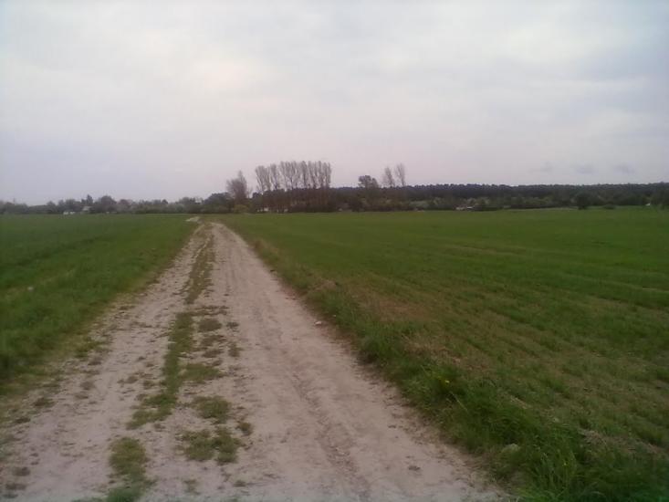 Головлі з panoramio.com - Головли