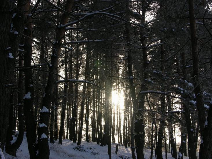 Крейдянка з panoramio.com - Крейдянка