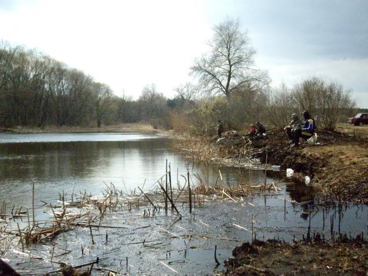 Шабельники з panoramio.com - Шабельники