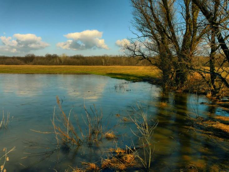 Слов'яносербськ з panoramio.com - Славяносербск