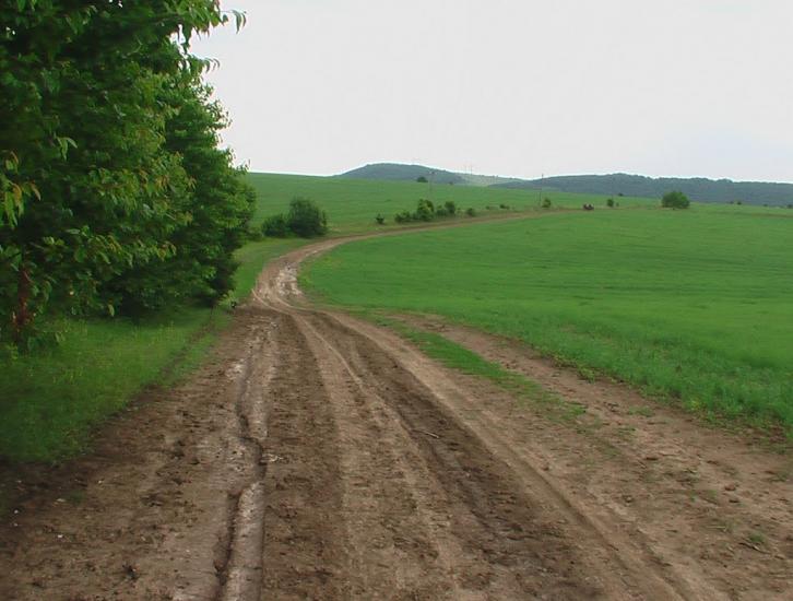 Біла з panoramio.com - Белая