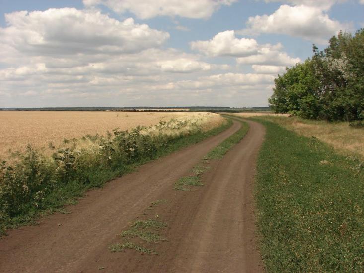Новий Донбас з panoramio.com - Новий Донбас