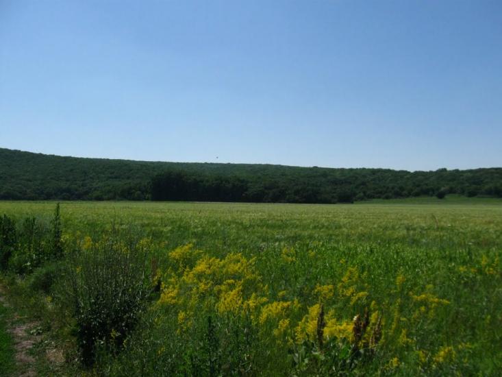 Студенок з panoramio.com - Студенок