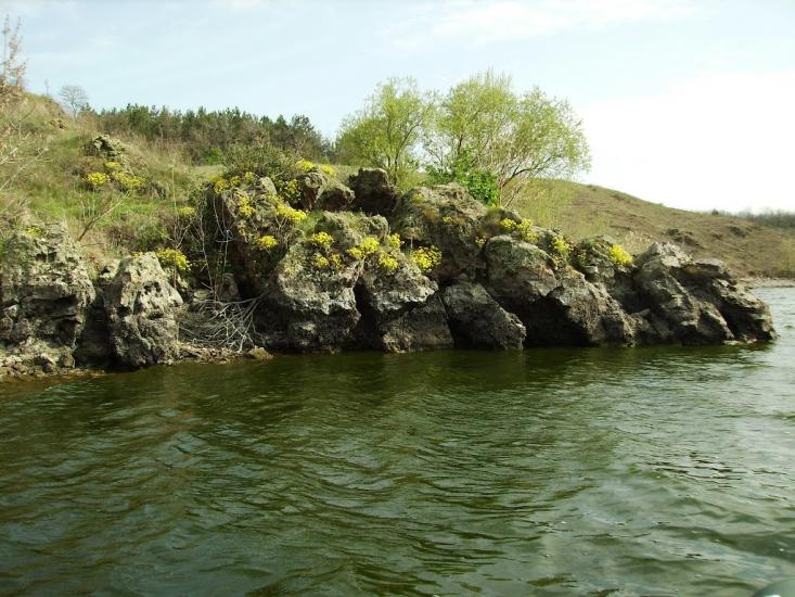 Каплани з panoramio.com - Каплани