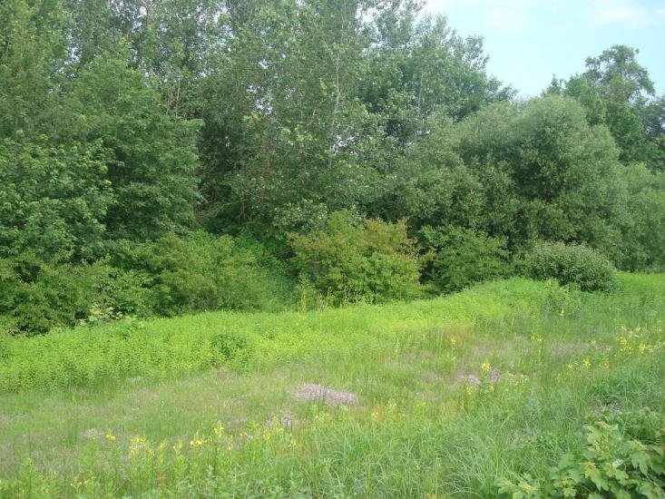 Мокіївці з panoramio.com - Мокіївці