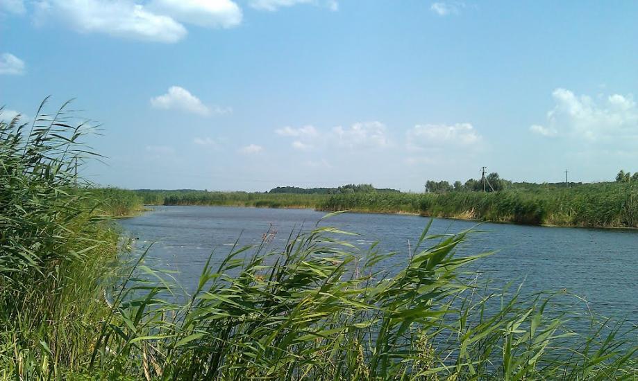 Ковалівка з panoramio.com - Ковалівка