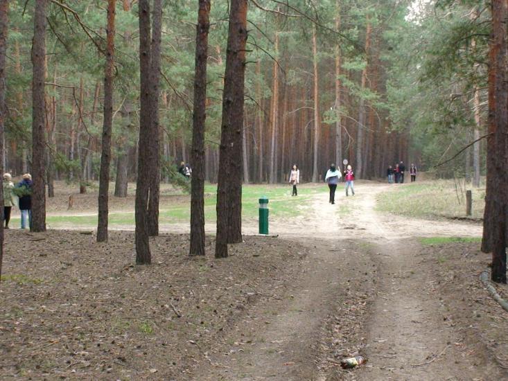 Студенок з panoramio.com - Студенок