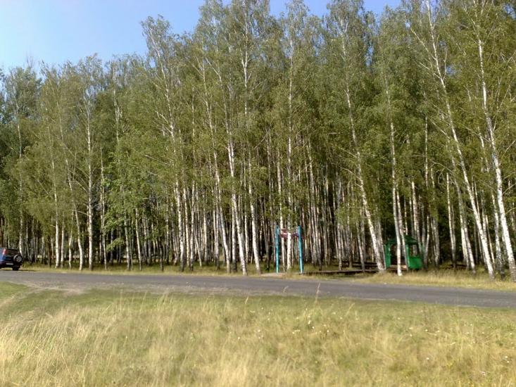 Велика Багачка з panoramio.com - Великая Багачка