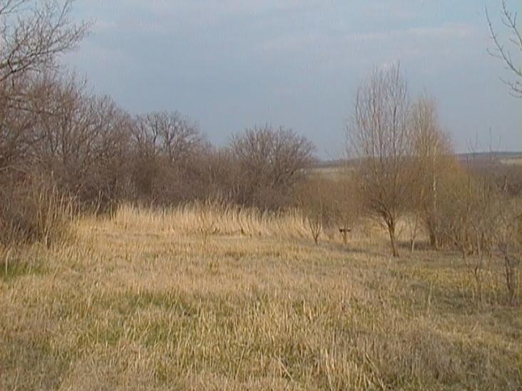 Петровське з panoramio.com - Петровское