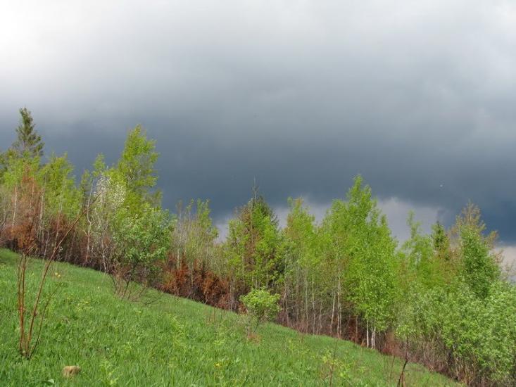 Баня-Березів з panoramio.com - Баня-Березов