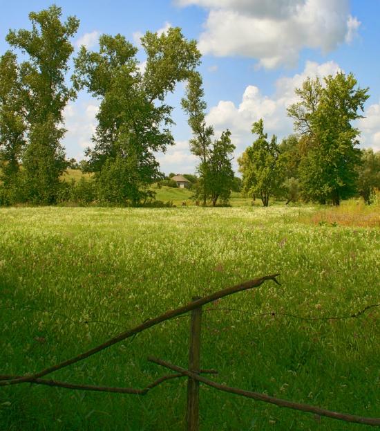 Юрки з panoramio.com - Юрки