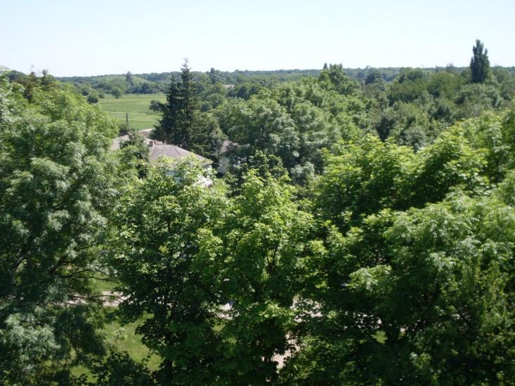 Гранів з panoramio.com - Graniv