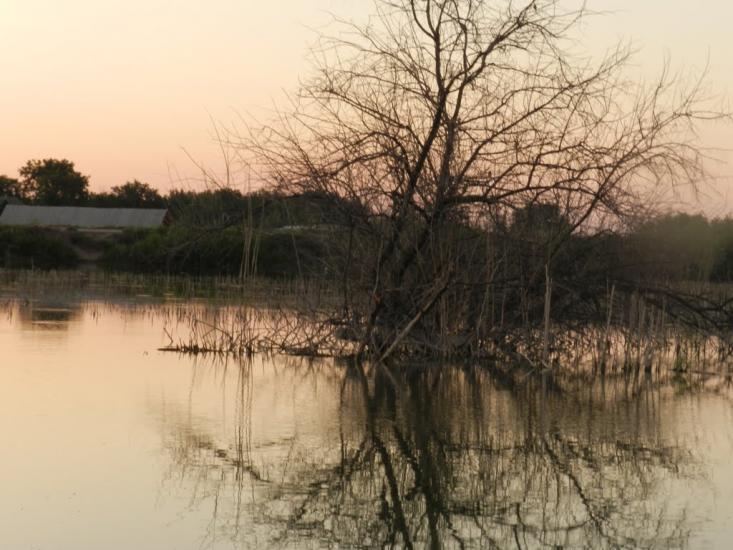 Великі Копані з panoramio.com - Великі Копані