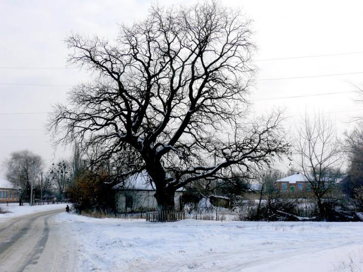 Червоний Оскіл з panoramio.com - Червоний Оскіл