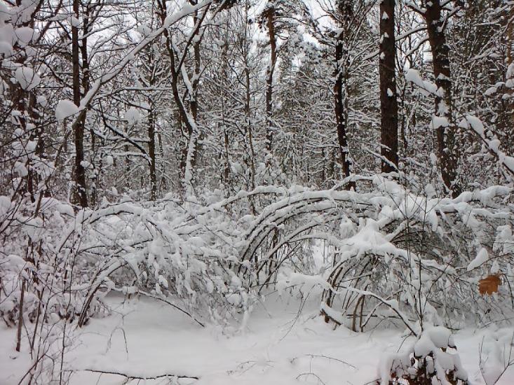 Андріївка з panoramio.com - Андреевка