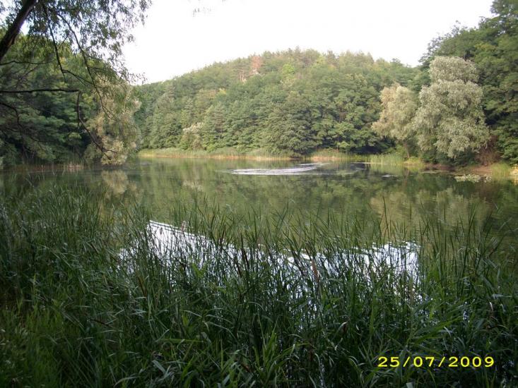 Халеп'я з panoramio.com - Халепье