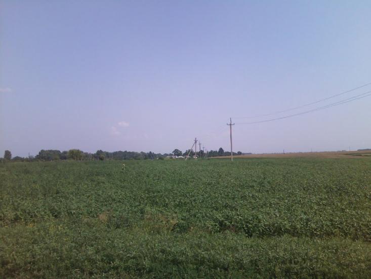 Степанівка з panoramio.com - Степановка