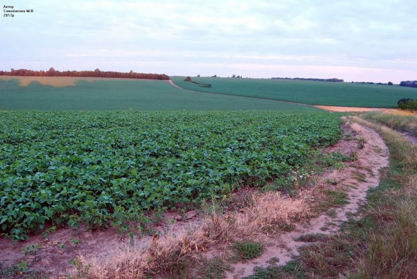 Велика Багачка з panoramio.com - Великая Багачка