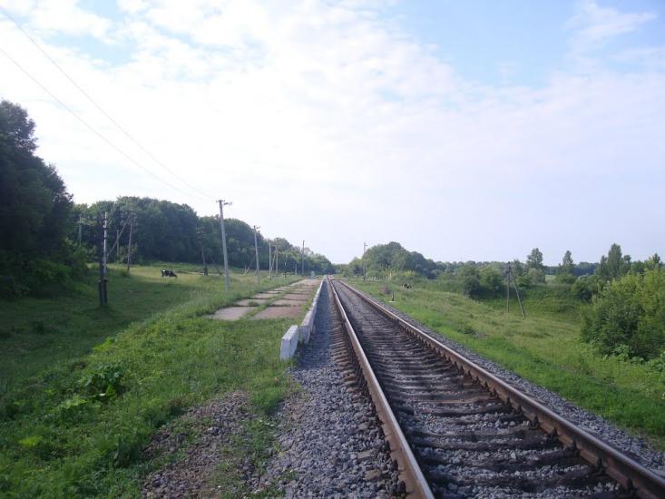 Мокіївці з panoramio.com - Мокіївці