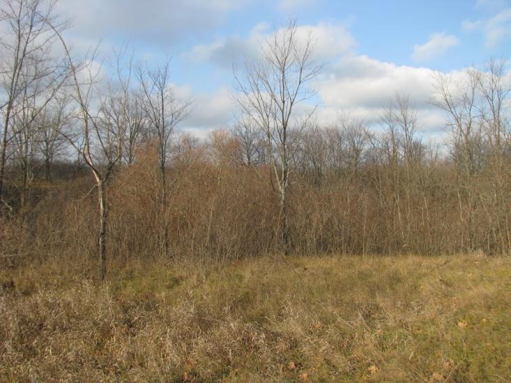 Печеніги з panoramio.com - Печениги