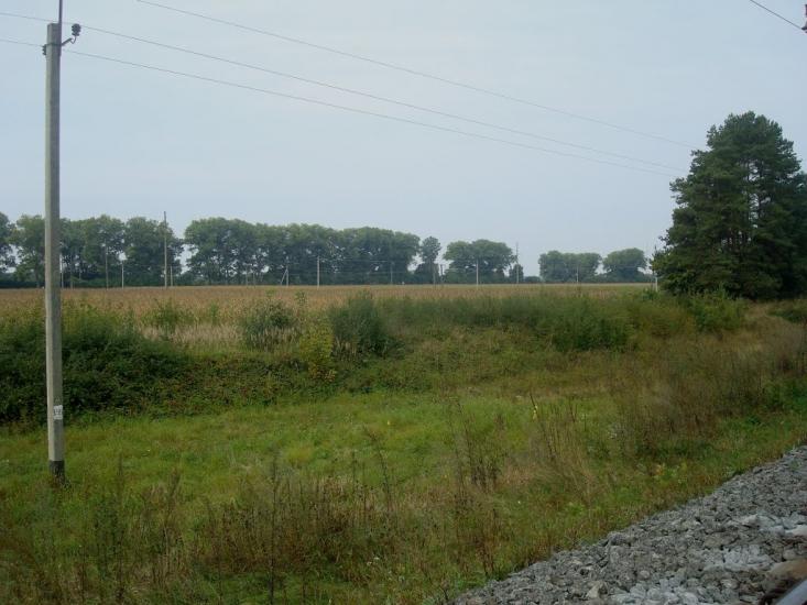 Кам'янка з panoramio.com - Каменка