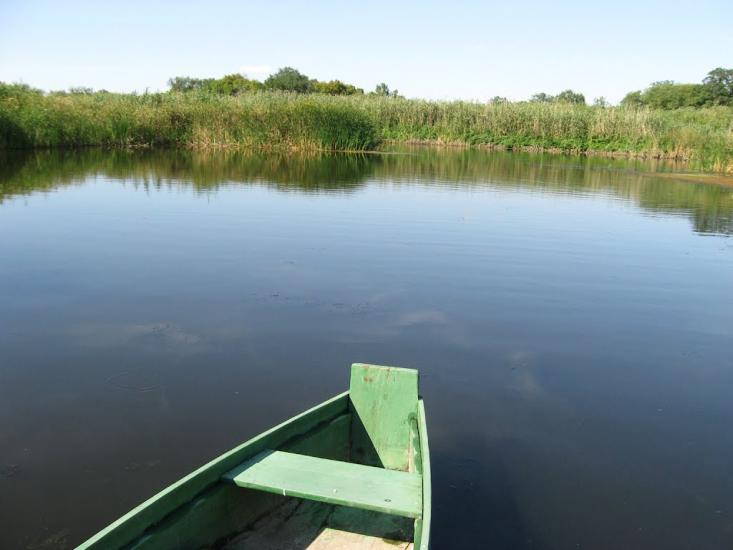 Котовка з panoramio.com - Котовка