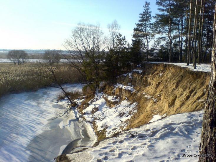 Козаровичі з panoramio.com - Kozarovychi