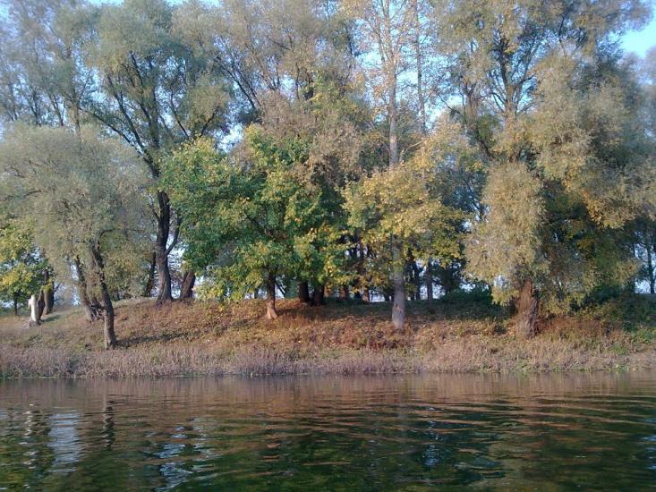 Камінь з panoramio.com - Камінь