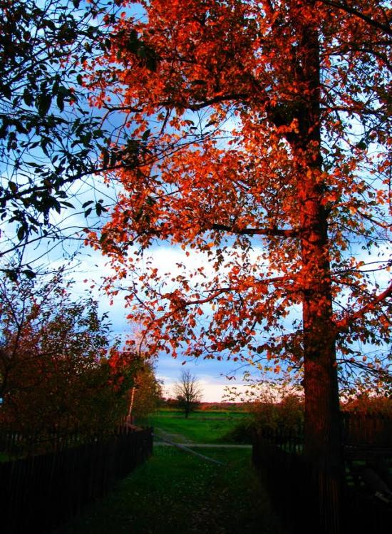 Мелені з panoramio.com - Мелені