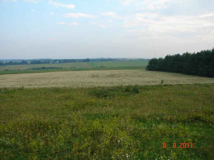 Чагарі-Збаразькі з panoramio.com - Chagari-Zbarazki