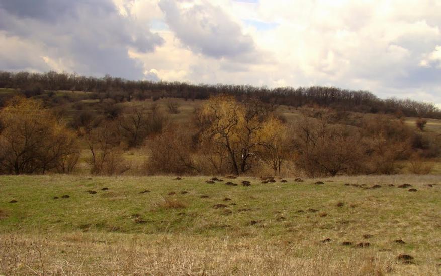 Високогірне з panoramio.com - Високогірне