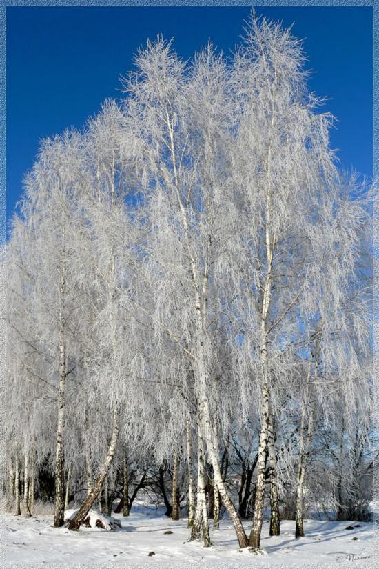 Баранівка з panoramio.com - Baranivka