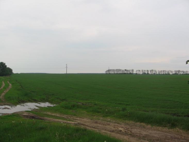 Халявин з panoramio.com - Халявин
