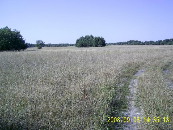 Валуйське з panoramio.com - Валуйское