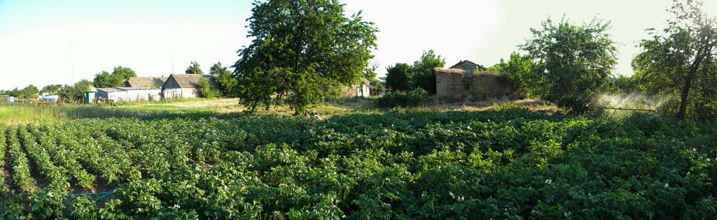 Павлівка з panoramio.com - Павловка