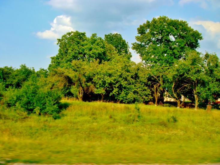 Медвин з panoramio.com - Медвин