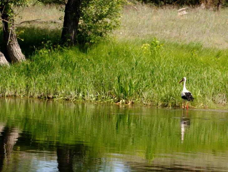Червоний Оскіл з panoramio.com - Червоний Оскіл