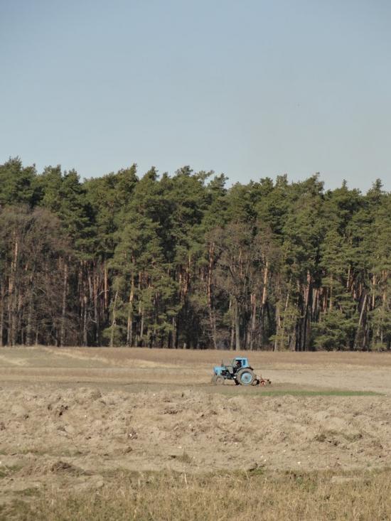 Бодячів з panoramio.com - Бодячев