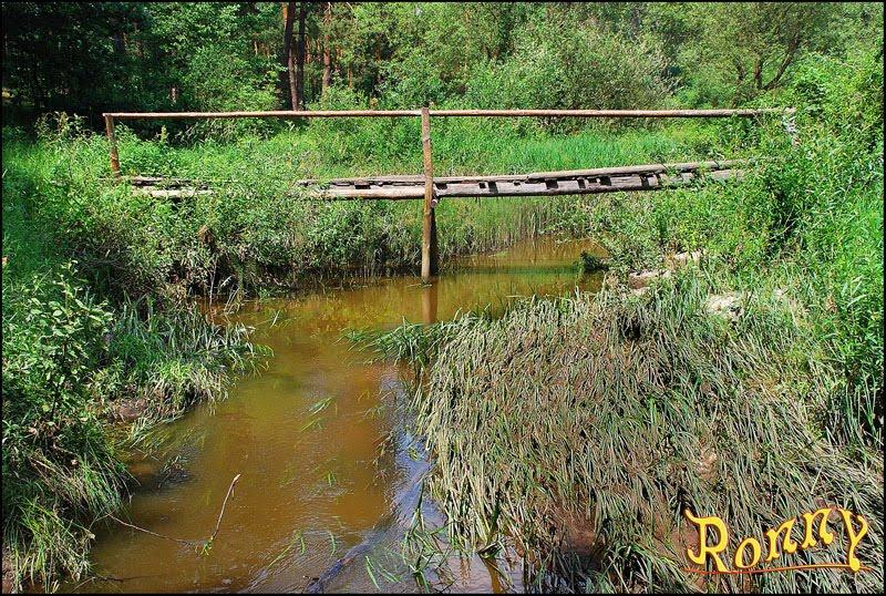 Барашівка з panoramio.com - Барашівка