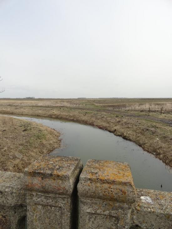 Сокіл з panoramio.com - Сокол